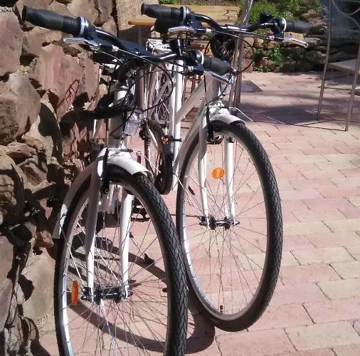 Holiday home - Balaton 20230 *